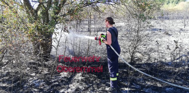 Einsatz 03.08.2022 Flächenbrand groß Oberemmel_Wiltingen_Kommlingen (3)